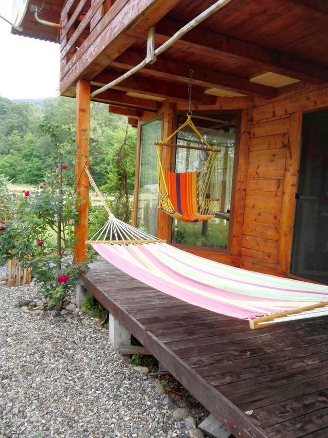 The Wooden House Villa Moldovenesti Ngoại thất bức ảnh