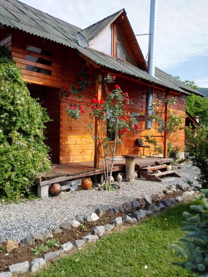 The Wooden House Villa Moldovenesti Ngoại thất bức ảnh